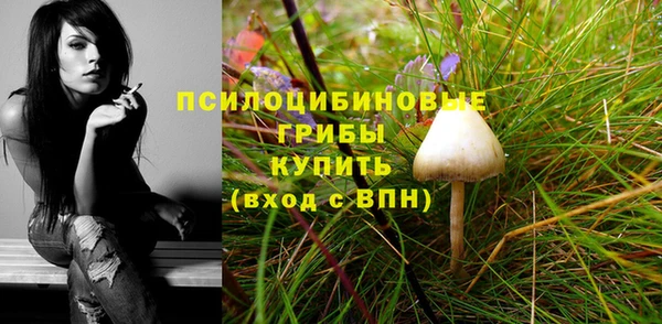 первитин Костерёво