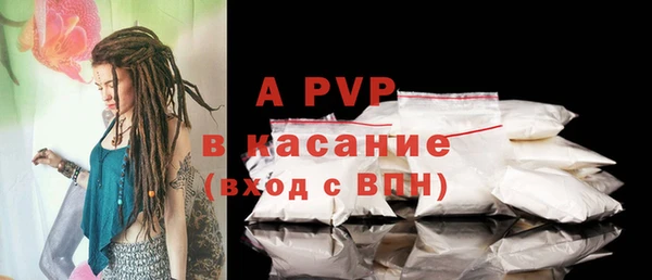ПСИЛОЦИБИНОВЫЕ ГРИБЫ Краснослободск