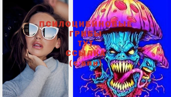 ПСИЛОЦИБИНОВЫЕ ГРИБЫ Краснослободск